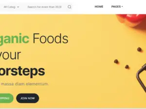 Grocery Store Website